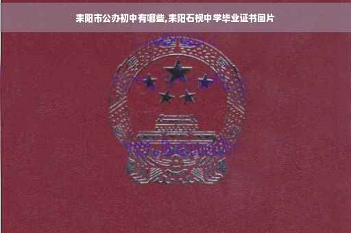 耒阳市公办初中有哪些,耒阳石枧中学毕业证书图片