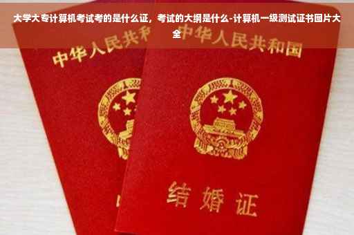大学大专计算机考试考的是什么证，考试的大纲是什么-计算机一级测试证书图片大全