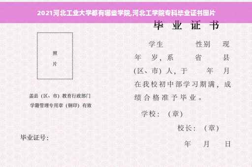 2021河北工业大学都有哪些学院,河北工学院专科毕业证书图片