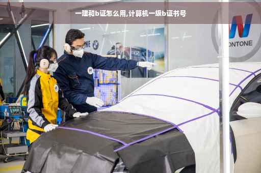 一建和b证怎么用,计算机一级b证书号