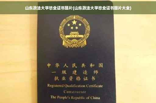 山东政法大学毕业证书图片(山东政法大学毕业证书图片大全)