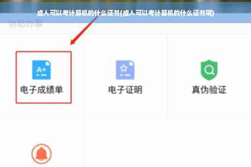 成人可以考计算机的什么证书(成人可以考计算机的什么证书呢)