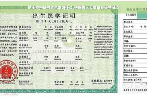 护士资格证书红色本叫什么,护理成人大专毕业证书图片