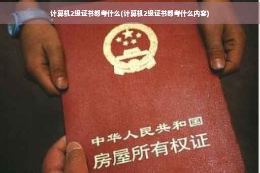 计算机2级证书都考什么(计算机2级证书都考什么内容) 计算机2级证书都考什么(计算机2级证书都考什么内容)