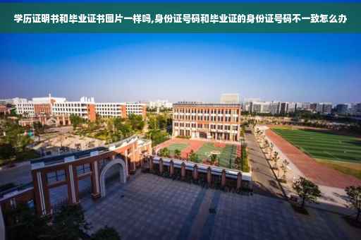 学历证明书和毕业证书图片一样吗,身份证号码和毕业证的身份证号码不一致怎么办