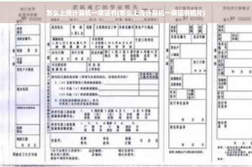 怎么上传计算机一级证书(怎么上传计算机一级证书照片)