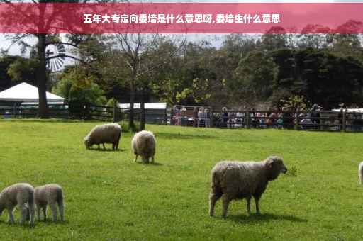 五年大专定向委培是什么意思呀,委培生什么意思