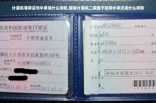 计算机等级证书中级是什么级别,国家计算机二级属于初级中级还是什么级别