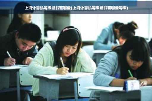 上海计算机等级证书有哪些(上海计算机等级证书有哪些等级)