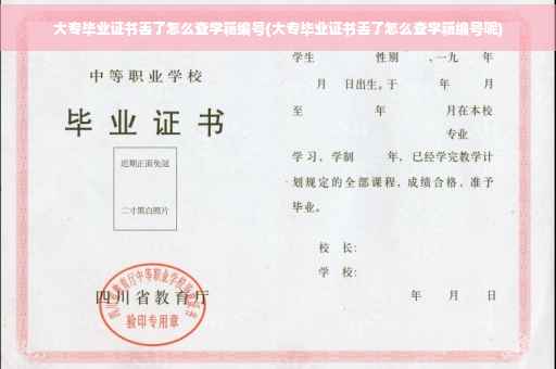 大专毕业证书丢了怎么查学籍编号(大专毕业证书丢了怎么查学籍编号呢)
