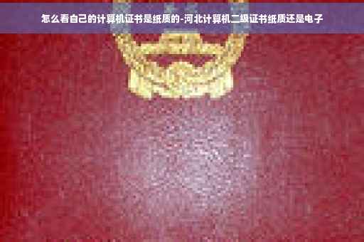 怎么看自己的计算机证书是纸质的-河北计算机二级证书纸质还是电子