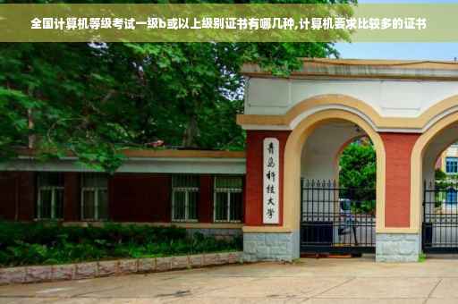 全国计算机等级考试一级b或以上级别证书有哪几种,计算机要求比较多的证书