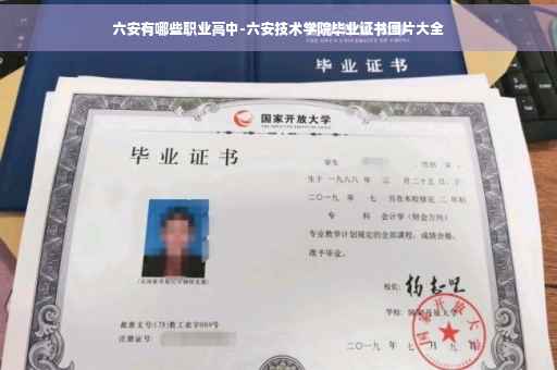 六安有哪些职业高中-六安技术学院毕业证书图片大全