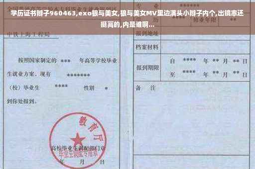 学历证书辫子960463,exo狼与美女,狼与美女MV里边满头小辫子内个,出镜率还挺高的,内是谁啊...