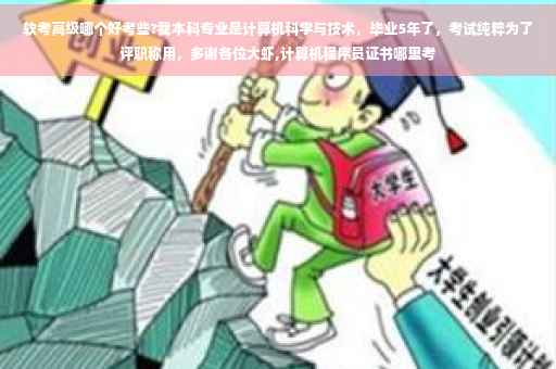 软考高级哪个好考些?我本科专业是计算机科学与技术，毕业5年了，考试纯粹为了评职称用，多谢各位大虾,计算机程序员证书哪里考