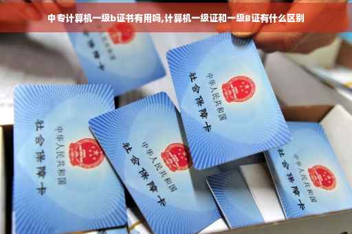 中专计算机一级b证书有用吗,计算机一级证和一级B证有什么区别