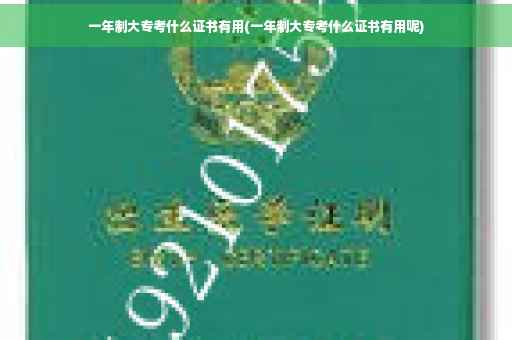 一年制大专考什么证书有用(一年制大专考什么证书有用呢)