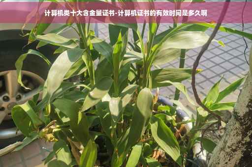 计算机类十大含金量证书-计算机证书的有效时间是多久啊
