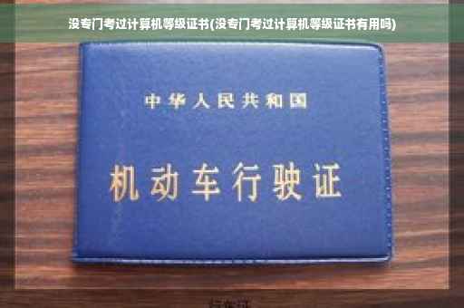 没专门考过计算机等级证书(没专门考过计算机等级证书有用吗)