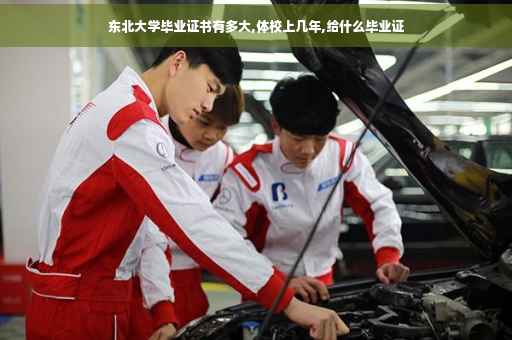 东北大学毕业证书有多大,体校上几年,给什么毕业证