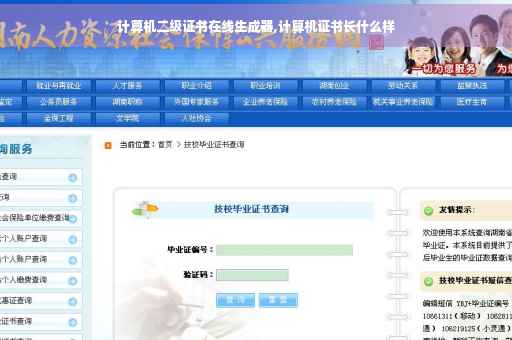 计算机二级证书在线生成器,计算机证书长什么样