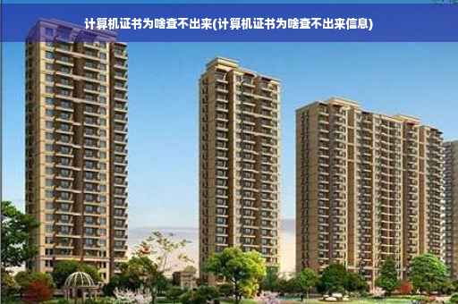 计算机证书为啥查不出来(计算机证书为啥查不出来信息)