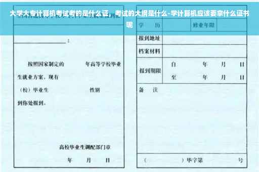 大学大专计算机考试考的是什么证，考试的大纲是什么-学计算机应该要拿什么证书呢