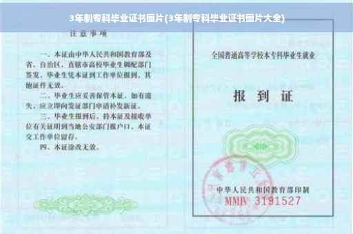 3年制专科毕业证书图片(3年制专科毕业证书图片大全)