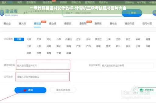 一级计算机证书长什么样-计算机三级考试证书图片大全