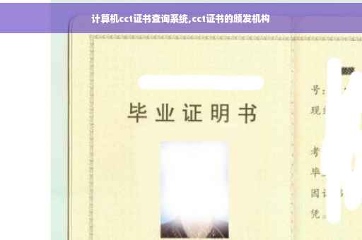 计算机cct证书查询系统,cct证书的颁发机构