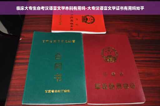 临床大专生自考汉语言文学本科有用吗-大专汉语言文学证书有用吗知乎