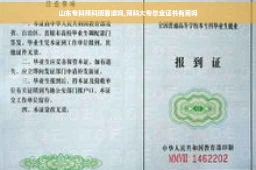 山东专科预科班靠谱吗,预科大专毕业证书有用吗