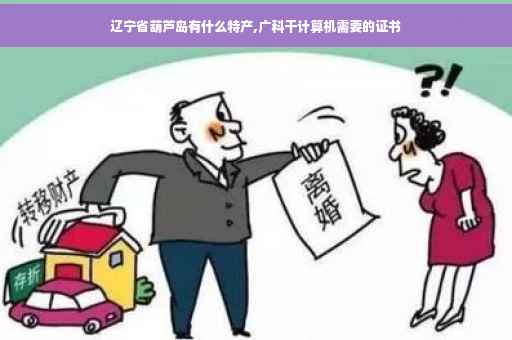 辽宁省葫芦岛有什么特产,广科干计算机需要的证书