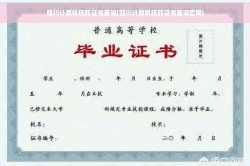 四川计算机技能证书查询(四川计算机技能证书查询官网)