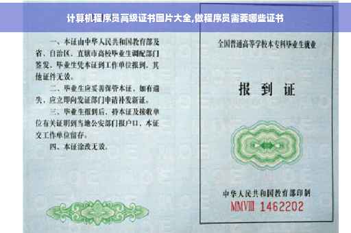 计算机程序员高级证书图片大全,做程序员需要哪些证书
