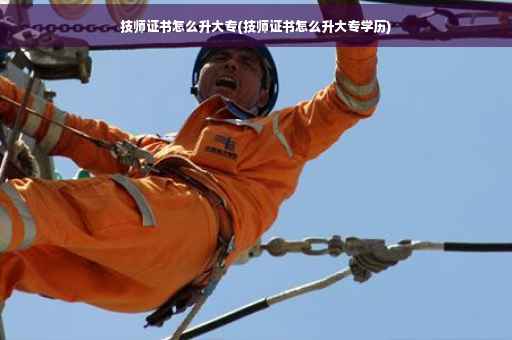技师证书怎么升大专(技师证书怎么升大专学历)
