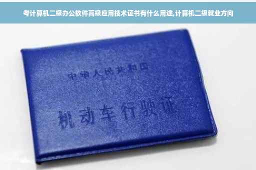 考计算机二级办公软件高级应用技术证书有什么用途,计算机二级就业方向