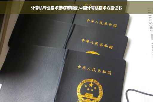 计算机专业技术职称有哪些,中国计算机技术方面证书