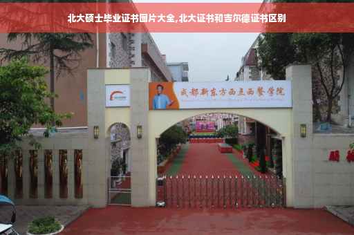北大硕士毕业证书图片大全,北大证书和吉尔德证书区别