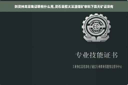 剑灵神龙采集证明有什么用,灵石县聚义富源煤矿审批下露天矿证没有