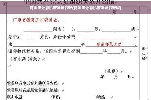 韩国学计算机带啥证书好(韩国学计算机带啥证书好呢)