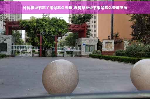 计算机证书忘了编号怎么办理,没有毕业证书编号怎么查询学历