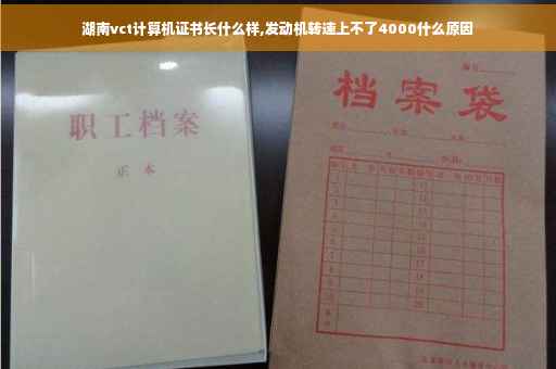 湖南vct计算机证书长什么样,发动机转速上不了4000什么原因