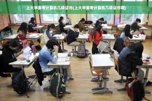上大学要考计算机几级证书(上大学要考计算机几级证书呢)
