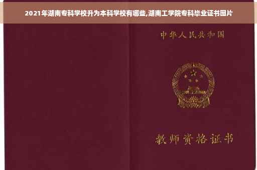 2021年湖南专科学校升为本科学校有哪些,湖南工学院专科毕业证书图片