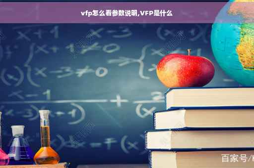 vfp怎么看参数说明,VFP是什么