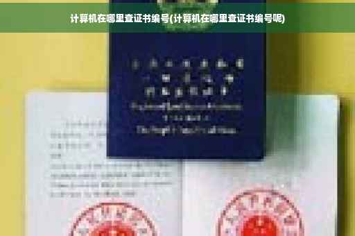 计算机在哪里查证书编号(计算机在哪里查证书编号呢)