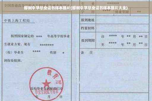 柳树中学毕业证书样本图片(柳树中学毕业证书样本图片大全)