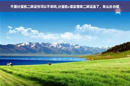 不要计算机二级证书可以不拿吗,计算机c语言等级二级证丢了，怎么补办呢