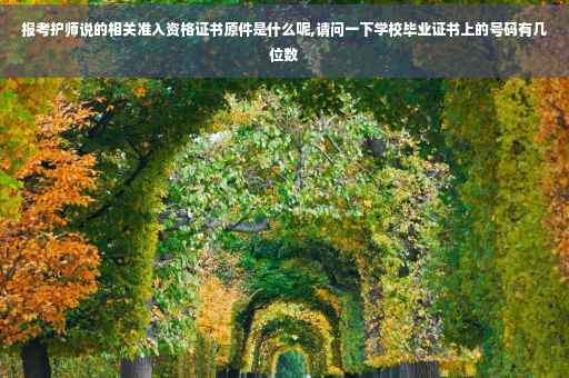 报考护师说的相关准入资格证书原件是什么呢,请问一下学校毕业证书上的号码有几位数 报考护师说的相关准入资格证书原件是什么呢,请问一下学校毕业证书上的号码有几位数
